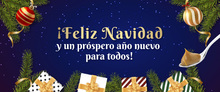 fELIZ_N