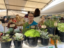 M&aacute;s de 60 productores rurales transforman la seguridad alimentaria de Cali con mercados campesinos