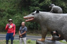 Cierre de talleres en la comuna 1, un compromiso con el turismo sostenible en el Ecoparque de la Vida