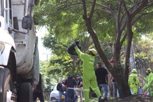 Inicia el primer ciclo de corte de c&eacute;sped y  se atienden diariamente 190 puntos de manejo inadecuado de residuos s&oacute;lidos
