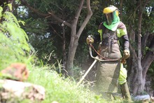 Inicia el primer ciclo de corte de c&eacute;sped y  se atienden diariamente 190 puntos de manejo inadecuado de residuos s&oacute;lidos