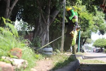 12 millones de metros cuadrados de &aacute;reas verdes se est&aacute;n atendiendo durante el primer ciclo de corte de c&eacute;sped en el 2025