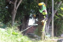 12 millones de metros cuadrados de &aacute;reas verdes se est&aacute;n atendiendo durante el primer ciclo de corte de c&eacute;sped en el 2025