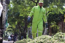12 millones de metros cuadrados de &aacute;reas verdes se est&aacute;n atendiendo durante el primer ciclo de corte de c&eacute;sped en el 2025