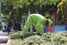 12 millones de metros cuadrados de &aacute;reas verdes se est&aacute;n atendiendo durante el primer ciclo de corte de c&eacute;sped en el 2025