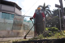 Lleras Restrepo y Villa del Lago, en la Comuna 13, empiezan el 2025 con jornadas de embellecimiento de &aacute;rboles y limpieza de espacios p&uacute;blicos