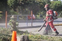 Lleras Restrepo y Villa del Lago, en la Comuna 13, empiezan el 2025 con jornadas de embellecimiento de &aacute;rboles y limpieza de espacios p&uacute;blicos