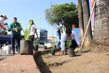 Un a&ntilde;o de Mi Cali bella con jornada especial de ornato y embellecimiento en San Pascual