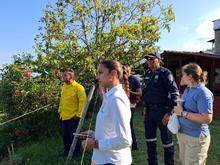 Por inconsciencia ciudadana, nuevamente se presenta incendio forestal en  Pichind&eacute;