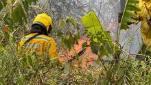 Por inconsciencia ciudadana, nuevamente se presenta incendio forestal en  Pichind&eacute;