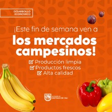 &iexcl;Regresan los Mercados Campesinos en Cali!