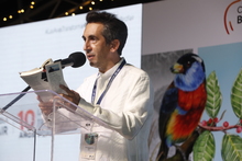 Colombia Birdfair tendr&aacute; actividades abiertas al p&uacute;blico en la Plaza de Cayzedo: conozca la programaci&oacute;n y ag&eacute;ndese