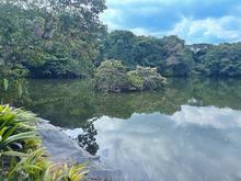 Cale&ntilde;os conmemoraron D&iacute;a Mundial de los Humedales