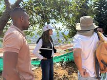 5 parques completamente recuperados en 2025 beneficiar&aacute;n a m&aacute;s de  300 mil habitantes en Cali