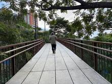 Radiograf&iacute;a del proyecto Integral Cristo Rey: el sendero m&aacute;s largo que tiene la ciudad y que culmina en el majestuoso monumento