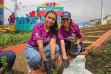 La Comuna 20: un destino de colores