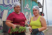 La Comuna 20: un destino de colores