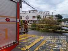 Vientos fuertes de este s&aacute;bado provocaron 12 incidentes con &aacute;rboles, que est&aacute;n siendo atendidos por el Dagma