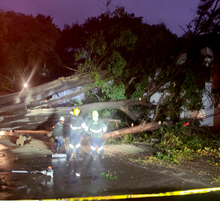 Vientos fuertes de este s&aacute;bado provocaron 12 incidentes con &aacute;rboles, que est&aacute;n siendo atendidos por el Dagma