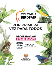 Por primera vez, la Colombia Birdfair es para todos: programaci&oacute;n gratuita en la Plaza de Cayzedo el 15 y 16 de febrero