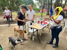 Alcald&iacute;a de Cali apuesta por la cultura ciudadana: as&iacute; fue la jornada &lsquo;Yo  cuido y mantengo mi parque limpio&rsquo; en San Fernando
