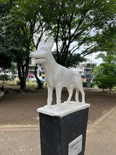 Alcald&iacute;a de Cali apuesta por la cultura ciudadana: as&iacute; fue la jornada &lsquo;Yo  cuido y mantengo mi parque limpio&rsquo; en San Fernando