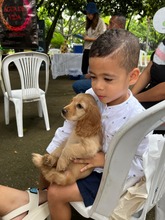 Alcald&iacute;a de Cali apuesta por la cultura ciudadana: as&iacute; fue la jornada &lsquo;Yo  cuido y mantengo mi parque limpio&rsquo; en San Fernando