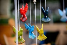 Arranc&oacute; Colombia Birdfair con visitantes de nueve pa&iacute;ses