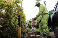 Nueve toneladas de residuos fueron recolectadas durante operativo de  limpieza en la galer&iacute;a de Santa Elena
