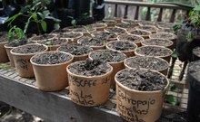 Los &lsquo;Vientos de Libertad&rsquo; de un guardi&aacute;n del jarill&oacute;n que aprendi&oacute; a  vivir, amar y proteger el r&iacute;o Cauca