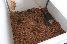 Cali avanza en sostenibilidad: se fortalecen los procesos de compostaje en instituciones educativas