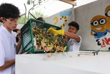 Cali avanza en sostenibilidad: se fortalecen los procesos de compostaje en instituciones educativas