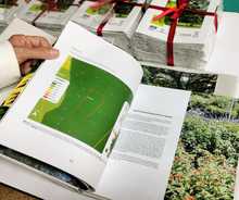 En Cali se fortalecen los bosques urbanos gracias a la entrega de 10 &lsquo;esquemas de armonizaci&oacute;n&rsquo; para la ciudad