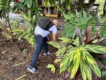 Volvamos a mi Cali bella engalan&oacute; el Polideportivo Gran Limonar II