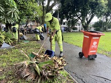 Volvamos a mi Cali bella engalan&oacute; el Polideportivo Gran Limonar II