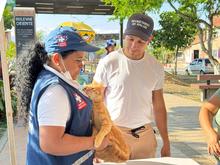 Cali suma 36 a&ntilde;os libre de rabia y refuerza la prevenci&oacute;n con vacunaci&oacute;n y vigilancia epidemiol&oacute;gica