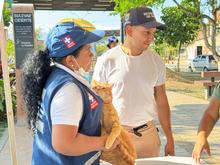 Cali suma 36 a&ntilde;os libre de rabia y refuerza la prevenci&oacute;n con vacunaci&oacute;n y vigilancia epidemiol&oacute;gica