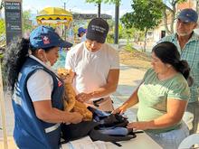 Cali suma 36 a&ntilde;os libre de rabia y refuerza la prevenci&oacute;n con vacunaci&oacute;n y vigilancia epidemiol&oacute;gica