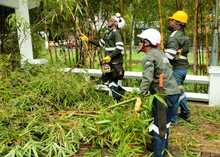 Con una gran jornada de acci&oacute;n ambiental, la Administraci&oacute;n Distrital impuls&oacute; la recuperaci&oacute;n y el embellecimiento del r&iacute;o Cali