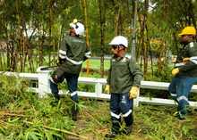 Con una gran jornada de acci&oacute;n ambiental, la Administraci&oacute;n Distrital impuls&oacute; la recuperaci&oacute;n y el embellecimiento del r&iacute;o Cali