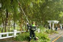 Con una gran jornada de acci&oacute;n ambiental, la Administraci&oacute;n Distrital impuls&oacute; la recuperaci&oacute;n y el embellecimiento del r&iacute;o Cali