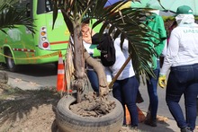 Se recupera y embellece espacio p&uacute;blico en el sector &lsquo;La Pola&rsquo; del barrio Manuela Beltr&aacute;n: un logro colectivo que fortalece la cultura ciudadana