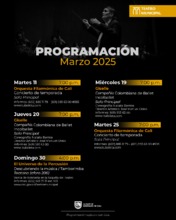 Vive los cl&aacute;sicos: m&uacute;sica, ballet y percusi&oacute;n en el Teatro Municipal