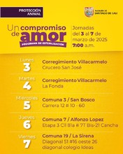 Un Compromiso de Amor contin&uacute;a con jornadas gratuitas de esterilizaci&oacute;n en Cali
