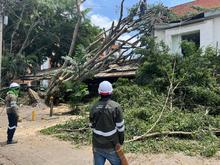 Sistema Distrital de Gesti&oacute;n del Riesgo ya completa 24 horas trabajando para superar las emergencias por lluvias del viernes