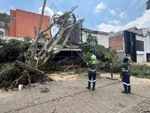 Sistema Distrital de Gesti&oacute;n del Riesgo ya completa 24 horas trabajando para superar las emergencias por lluvias del viernes