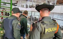 Dagma y Polic&iacute;a Ambiental realizan visitas de inspecci&oacute;n y control al  tr&aacute;fico de fauna