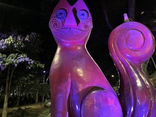 El 8 de marzo, &lsquo;Cali en Voz de Mujer&rsquo; ilumina de morado sus hitos y monumentos 