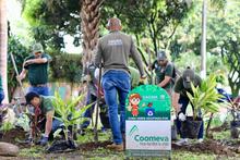 Alcald&iacute;a de Cali lider&oacute; jornada de embellecimiento y acci&oacute;n ambiental en el barrio Santa Anita