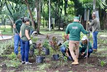 Alcald&iacute;a de Cali lider&oacute; jornada de embellecimiento y acci&oacute;n ambiental en el barrio Santa Anita